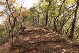 下野 赤見駒場城の写真