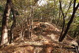 下野 赤見駒場城の写真