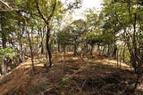 下野 赤見駒場城の写真