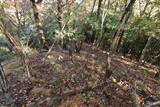 下野 赤見駒場城の写真