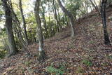 下野 赤見駒場城の写真
