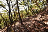 下野 赤見駒場城の写真