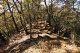 下野 赤見駒場城の写真