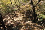下野 赤見駒場城の写真