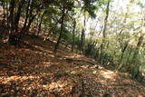 下野 赤見駒場城の写真