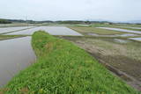 下野 荒井館の写真