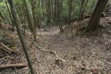 下野 足利城の写真