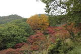 下野 足利城の写真