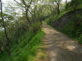 下野 芦野城の写真