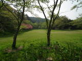 下野 芦野城の写真