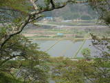 下野 芦野城の写真