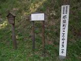 下野 芦野城の写真