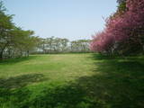 下野 芦野城の写真
