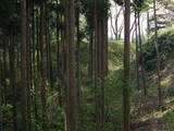 下野 芦野城の写真