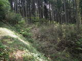 下野 芦野城の写真