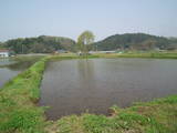 下野 芦野館の写真