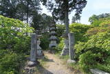 下野 粟野城の写真