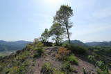 下野 粟野城の写真