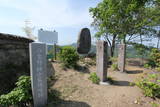 下野 粟野城の写真