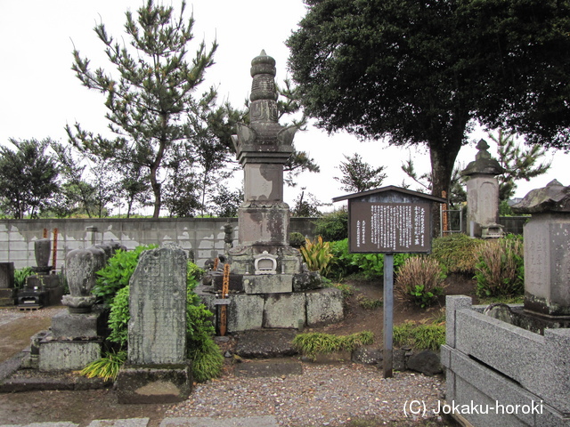 下野 榎本城の写真