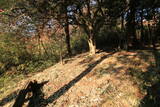 下野 藤沢城の写真