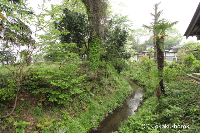 下野 深津城の写真