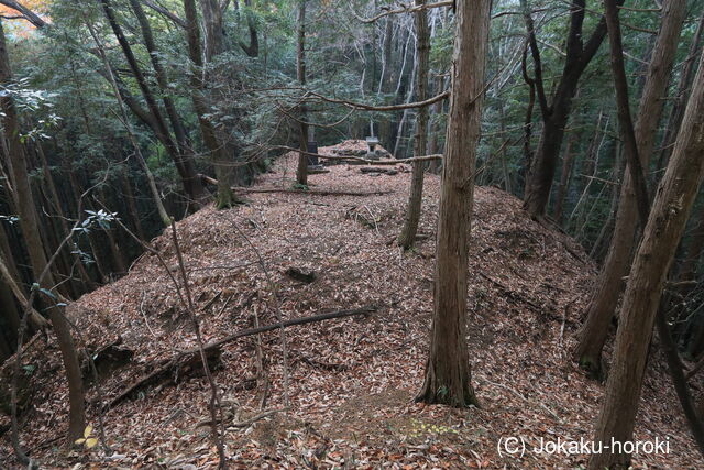 下野 不摩城の写真