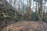 下野 不摩城の写真