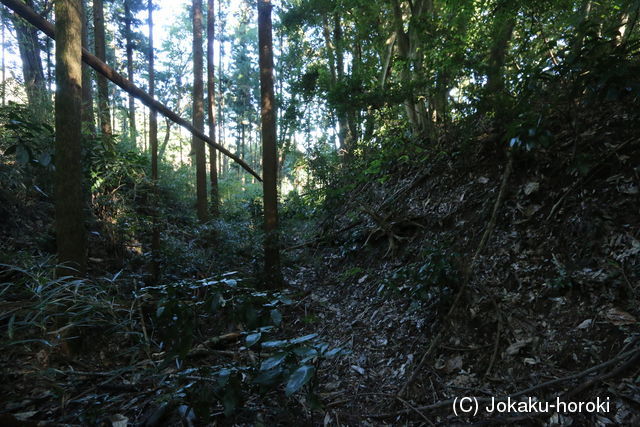 下野 西山城の写真