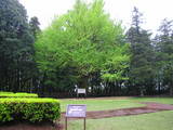 下野 祇園城の写真