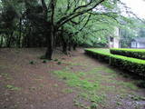 下野 祇園城の写真