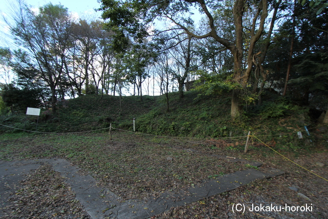 下野 御前城の写真