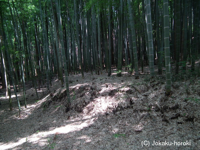 下野 刑部郭の写真