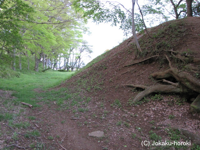 下野 芳賀城の写真