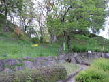 下野 芳賀城の写真