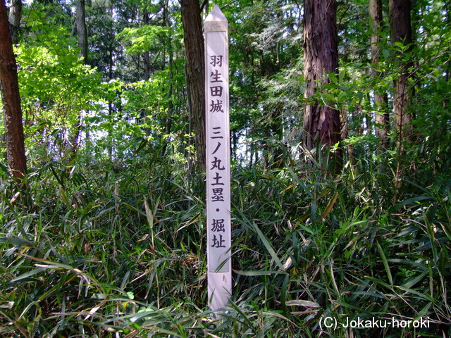 下野 羽生田城の写真