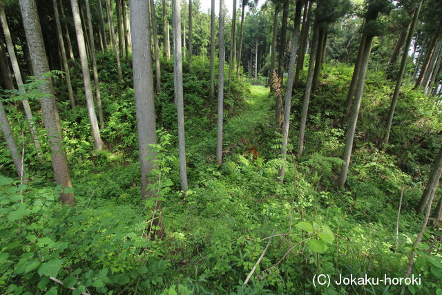 下野 鳩ヶ森城の写真