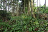 下野 鳩ヶ森城の写真