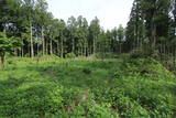 下野 鳩ヶ森城の写真