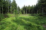 下野 鳩ヶ森城の写真