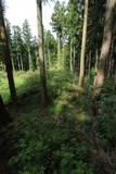 下野 鳩ヶ森城の写真