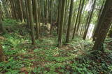 下野 鳩ヶ森城の写真