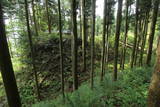 下野 鳩ヶ森城の写真