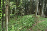 下野 鳩ヶ森城の写真