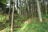 下野 鳩ヶ森城の写真