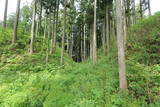 下野 鳩ヶ森城の写真