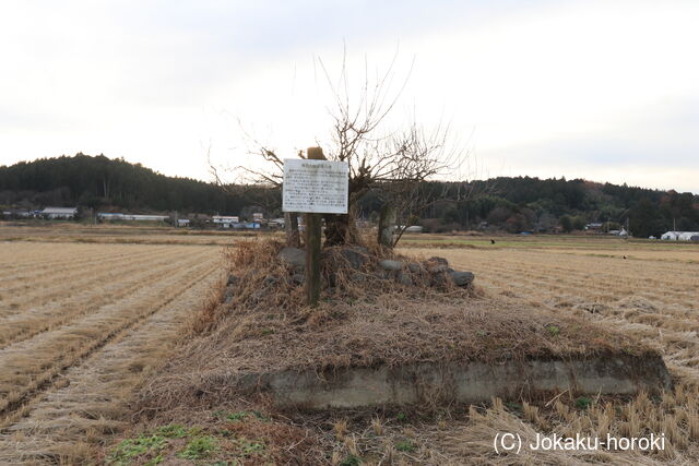 下野 稗田城の写真