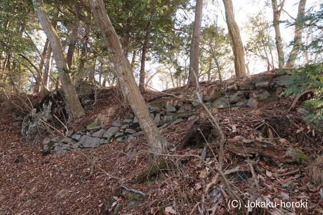 下野 要谷山城の写真