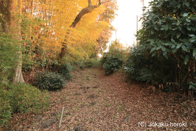 下野 細井城の写真