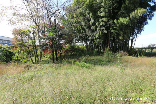 下野 稲毛田城の写真